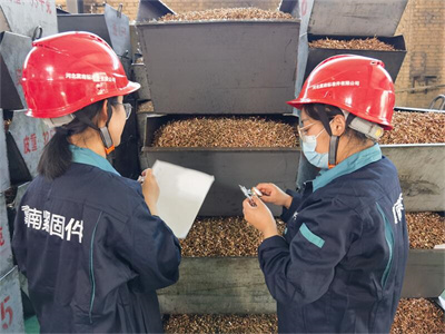 drilling screws factory, self tapping screws manufacturers, self tapping screws suppliers
